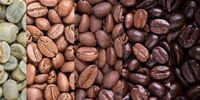 Does Coffee Go Bad? How to Store Coffee for the Long Term 