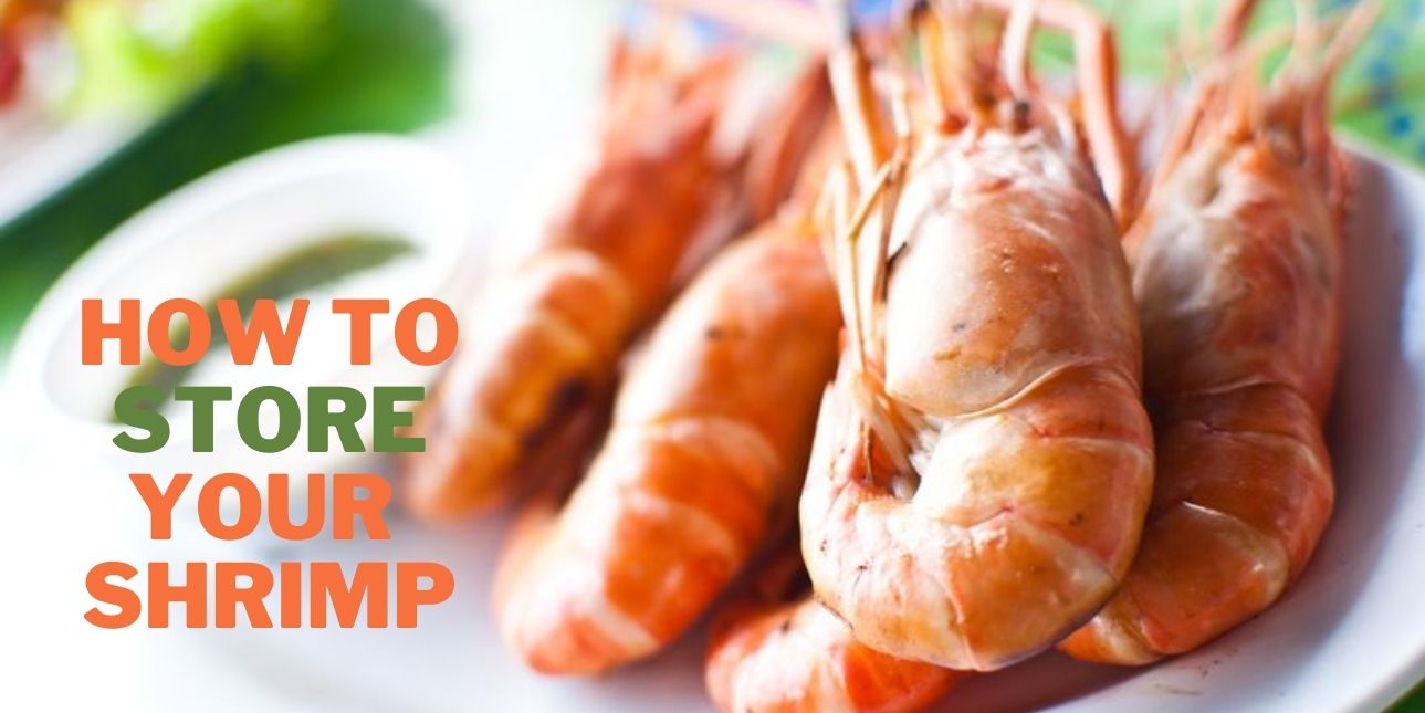 how to store your shrimp