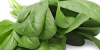 Keep Spinach Fresh: Learn How to Store Spinach Easily