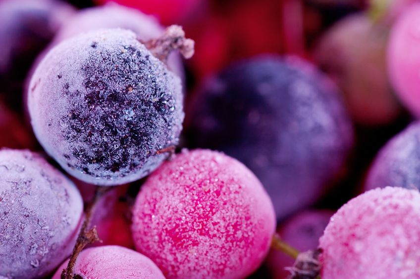 freezing berries