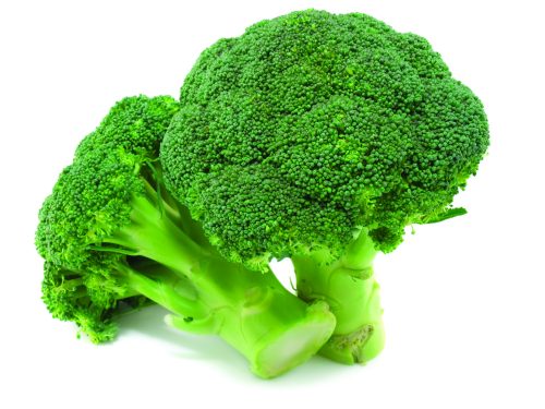 freezing broccoli raw