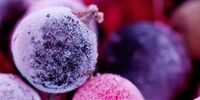 A Guide to How and Why You Should Freeze Berries
