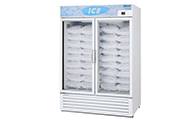 Indoor Ice Merchandisers