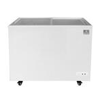 Kelvinator Commercial KCNF073WS (738090) Ice Cream Display Freezer