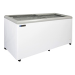 Master-Bilt Products MSF-71AN COLDIN-3™ Display Freezer